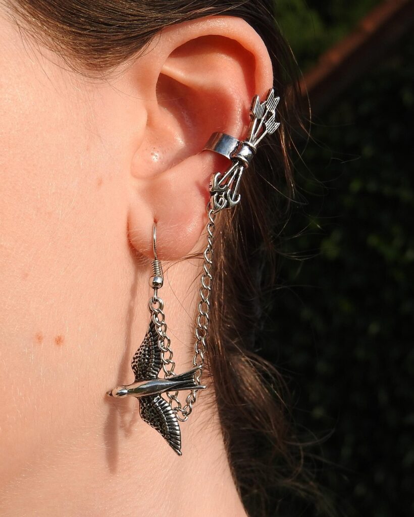 earring, jewel, silver, nature, extravagant, ear, bird, arrows
